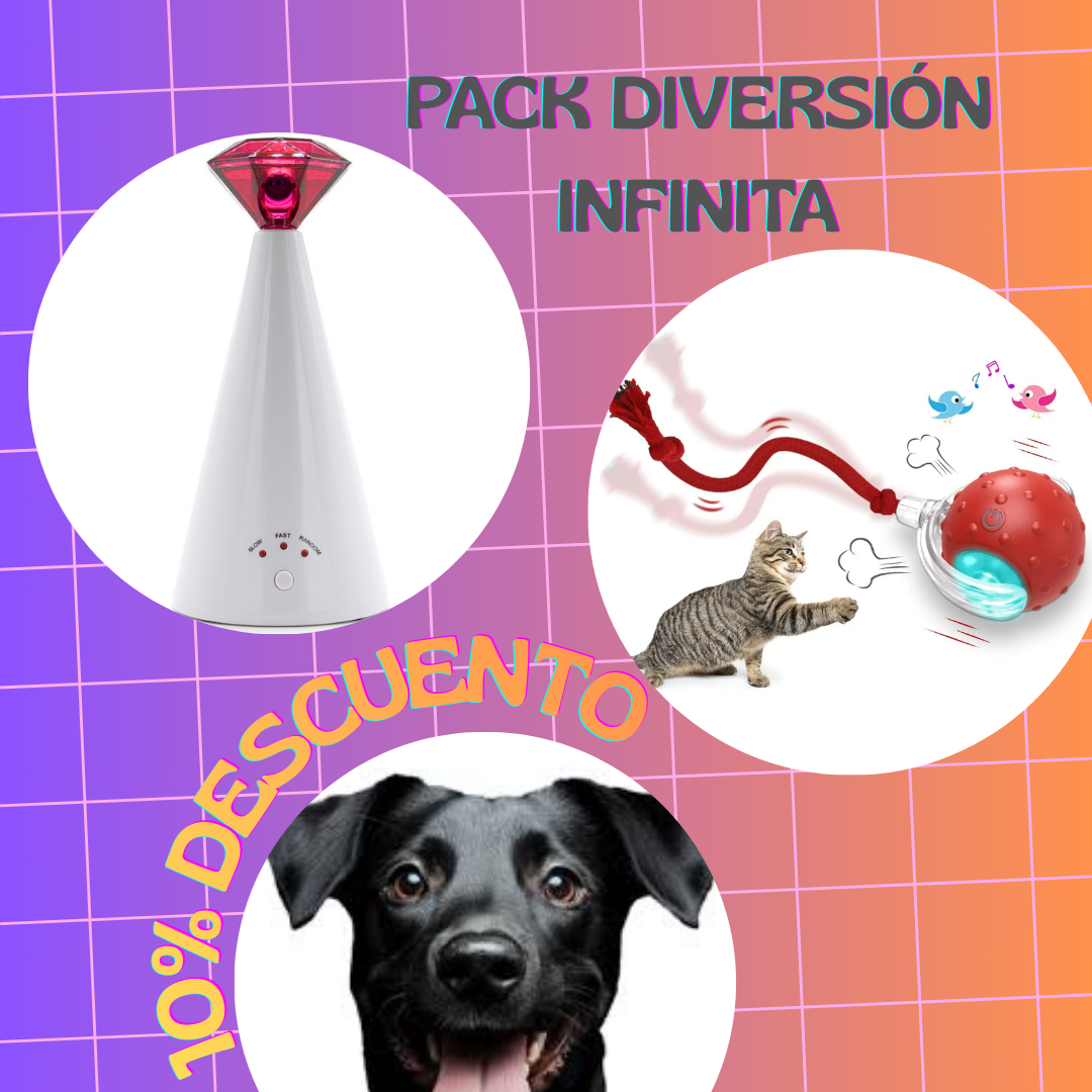 Pack Diversión infinita para gatos 🐱