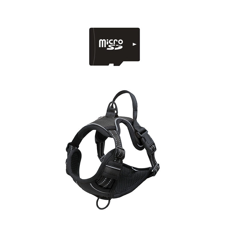 Correa para mascotas con cámara y grabadora